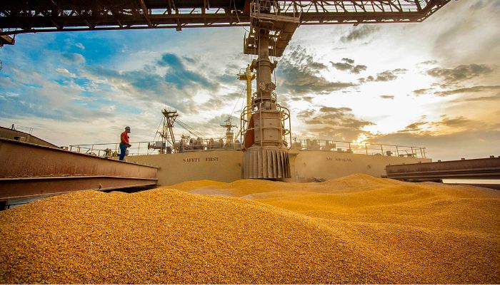 Foto: Claudio Neves/Portos do Paraná Com crescimento de 77% em 2024, Paraná ocupa segundo lugar nas exportações de milho